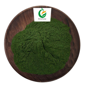 Polvo de Chlorella vulgaris orgánico 100% natural